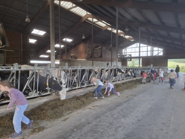Bauernhof ...