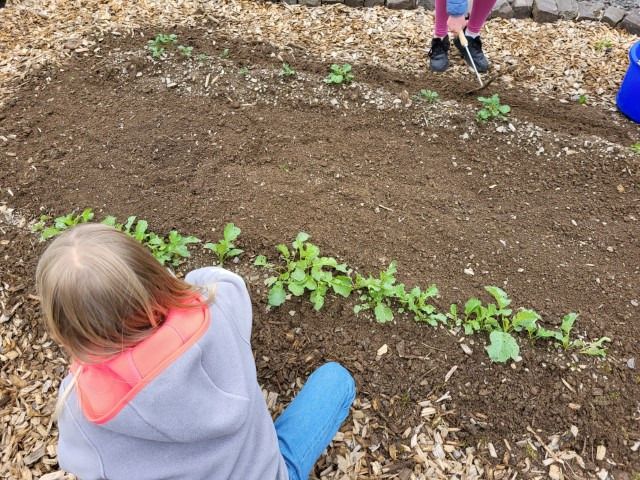 20240603 resized 20240603 resized