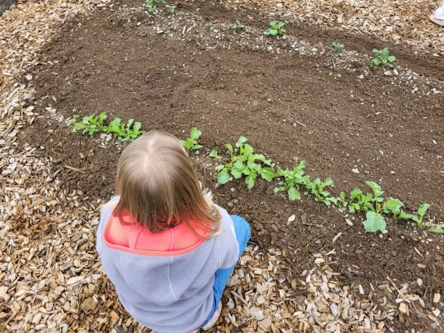 20240603 resized 20240603 resized