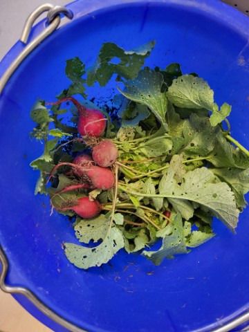 20240617 resized 20240617 resized