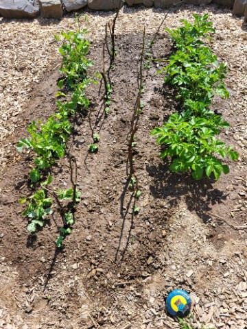 20240624 resized 20240624 resized