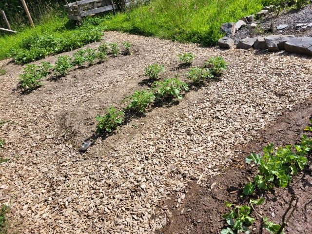 20240624 resized 20240624 resized