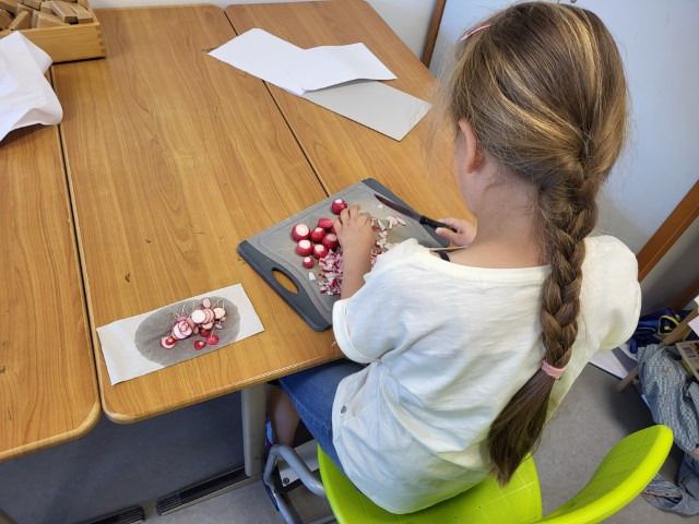 20240625 resized 20240625 resized