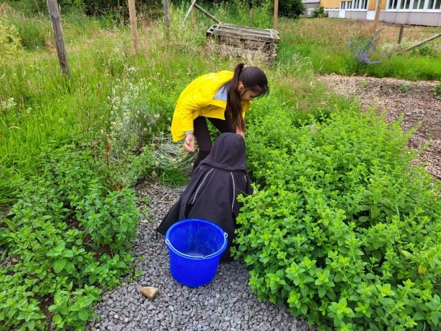 20240701 resized 20240701 resized